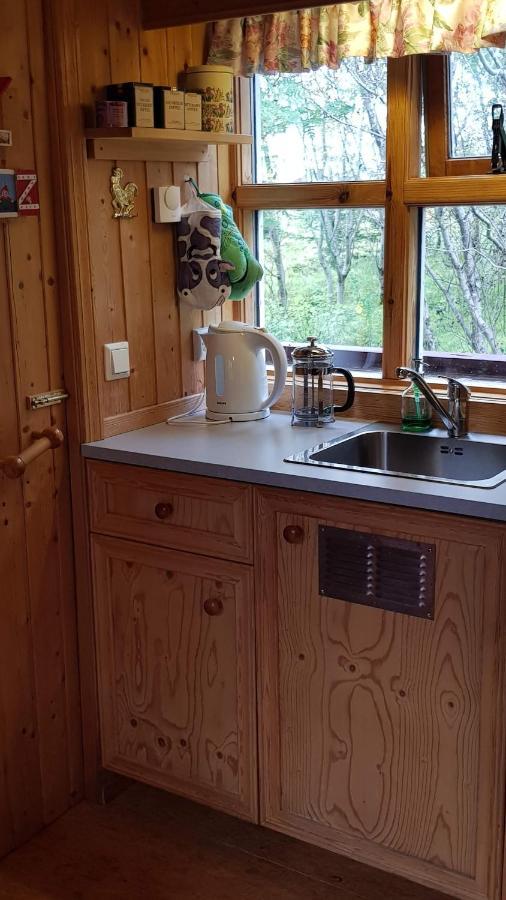 Cozy Cabin In The Woods Selfoss Extérieur photo
